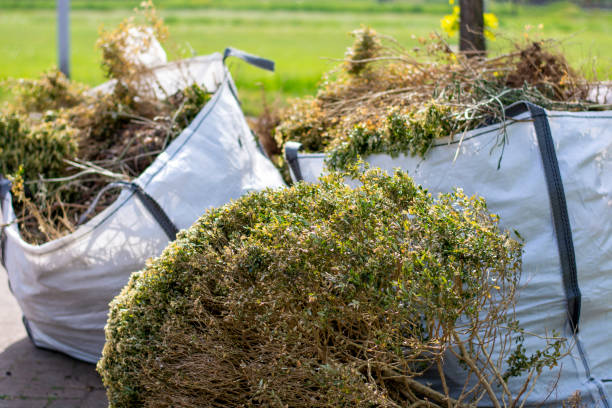 Professional Junk Removal Services in Weeping Water, NE